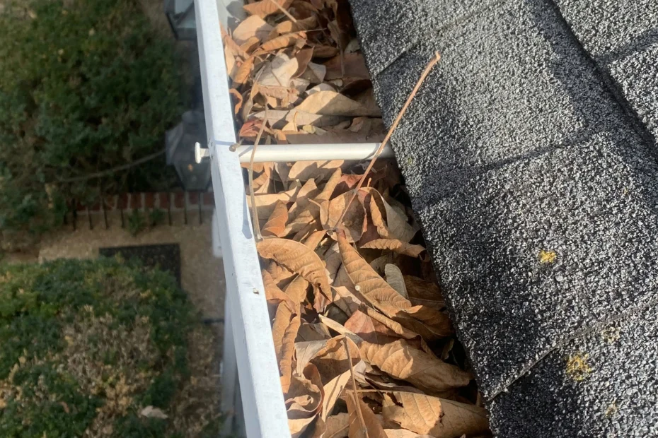 Gutter Cleaning Shongaloo